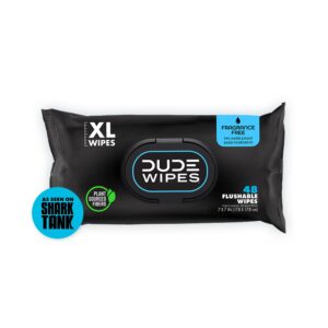 DUDE Wipes Flushable Wipes - 1 Pack, 48 Wipes