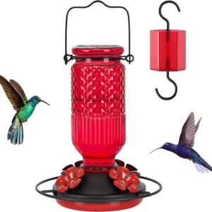 FEED GARDEN Glass Hummingbird Feeder for Outdoors Hanging, 16 OZ Humming Birds Feeders