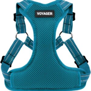 Best Pet Supplies Voyager Adjustable Dog Vest Harness Breathable No Pull Harness for Small,