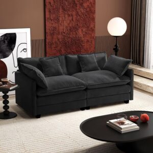 Ihanherry Cloud Sofa 77 Inch Loveseat, Modern Sectional Couch, 2-Seats Sofa for Living Room Bedroom and Apartment,